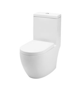 Baron-W-888 One Piece Toilet Bowl