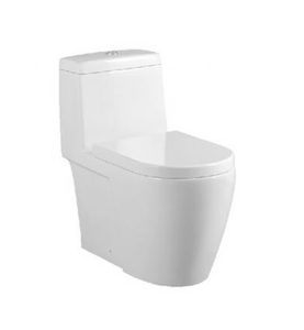 Baron W888 One Piece Toilet Bowl (Include Installation)